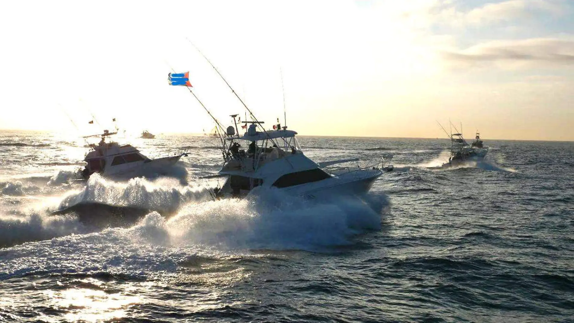 Torneo de pesca Bisbee los cabos